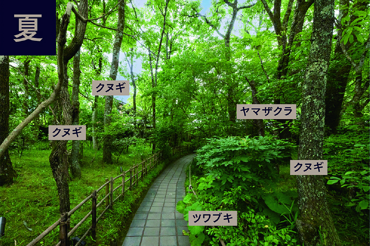 アプローチ