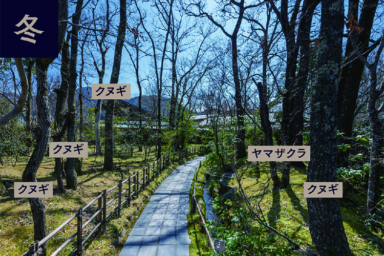 アプローチ