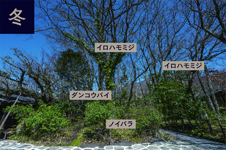 玄関前