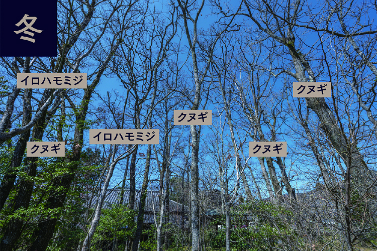 ラウンジニコルズ前