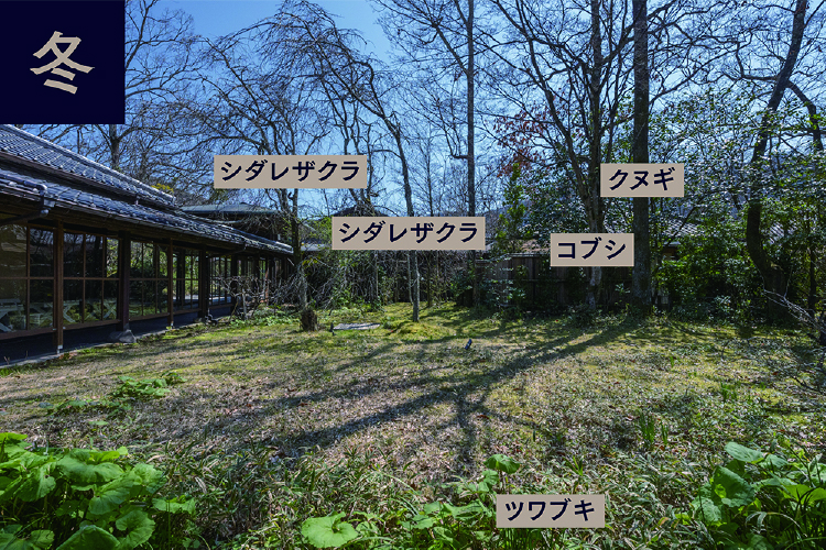 小さなロビー前