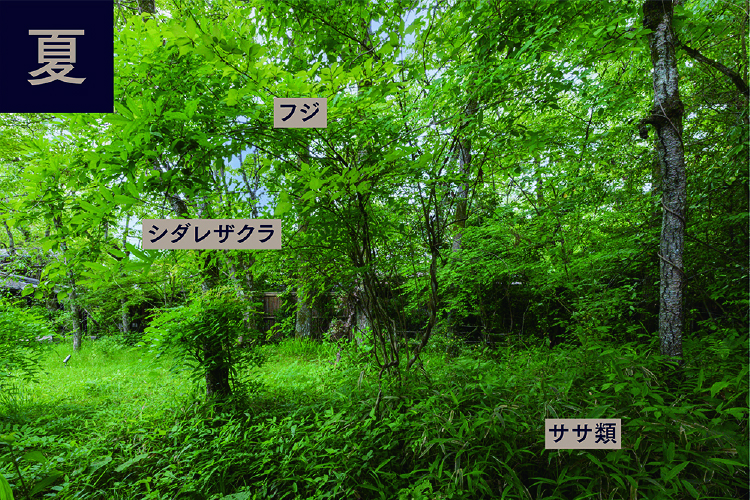 小さなロビー前