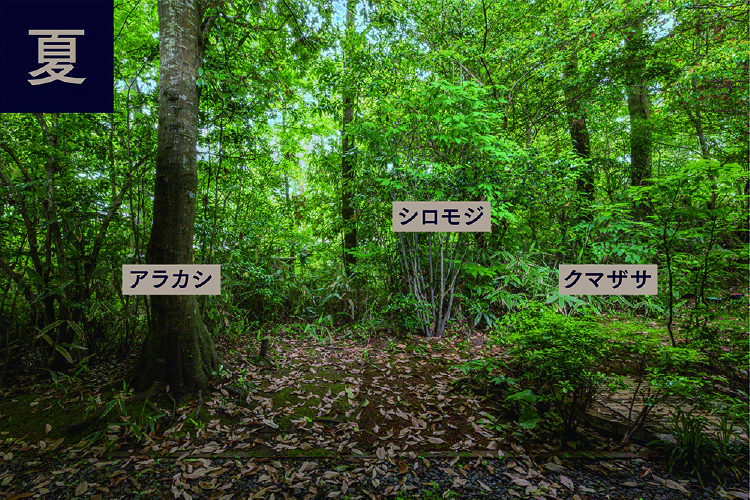 サロン