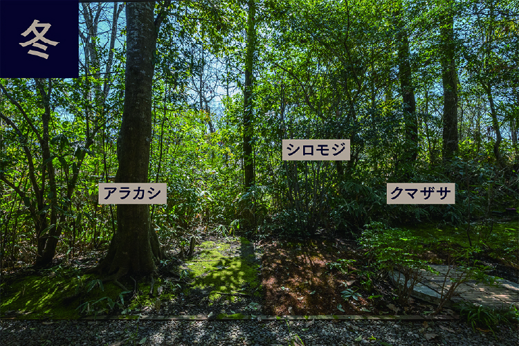 サロン
