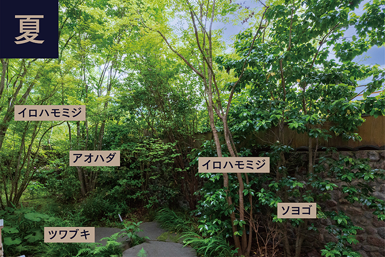 大浴場（男湯）
