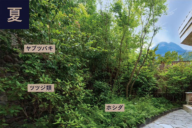 大浴場（女湯）
